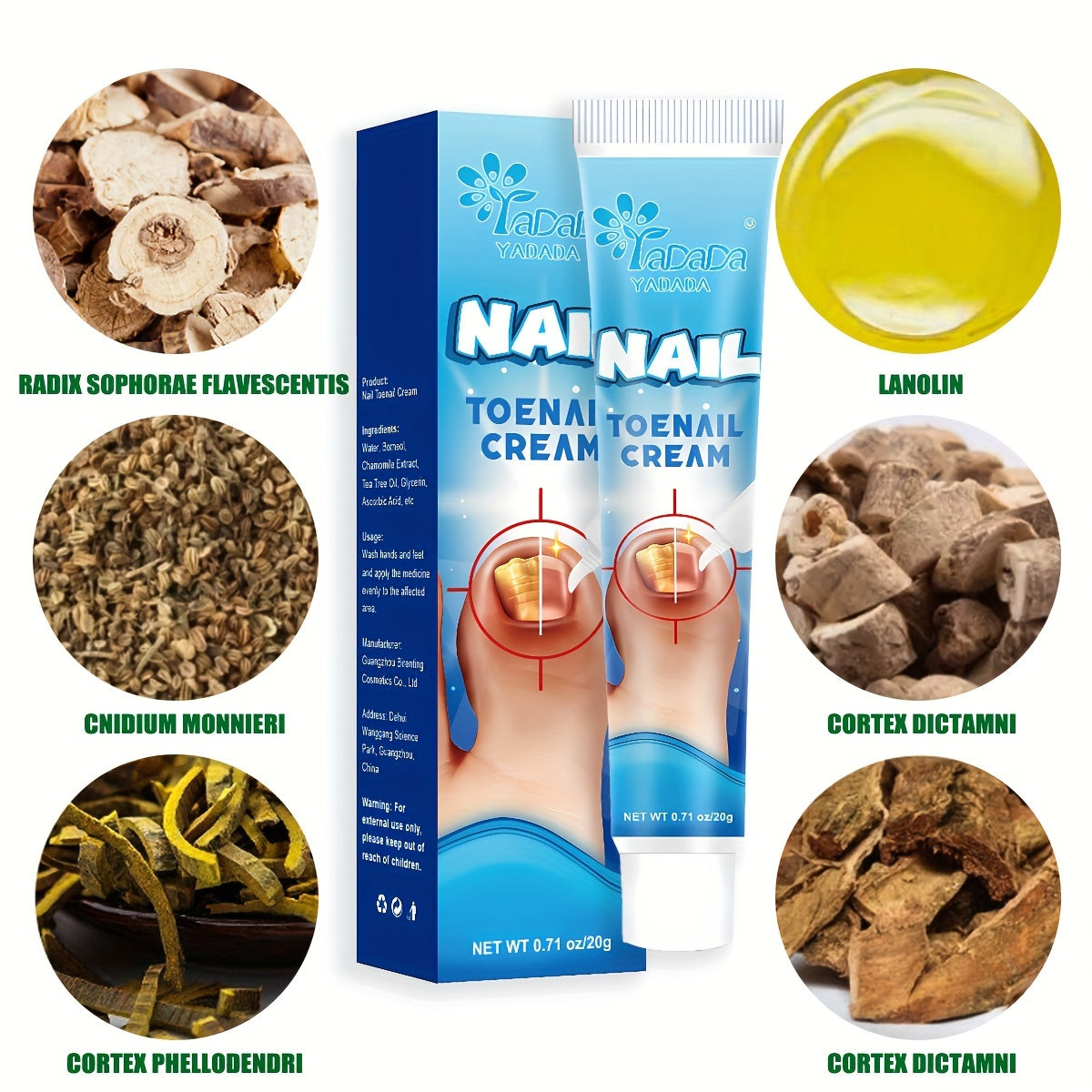 Vitamin C Enriched Nail Renewal Cream for Strengthening and Hardening Nail Bed - Pedicure Cream for Healthy Nails and Toenails